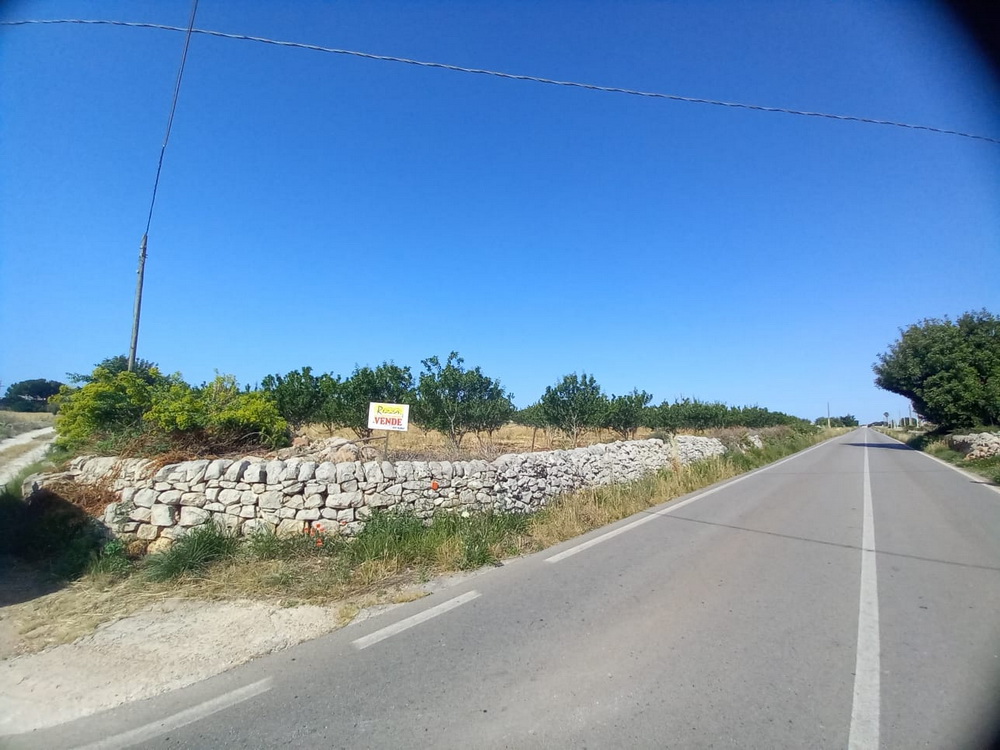 TERRENO BRIZZA