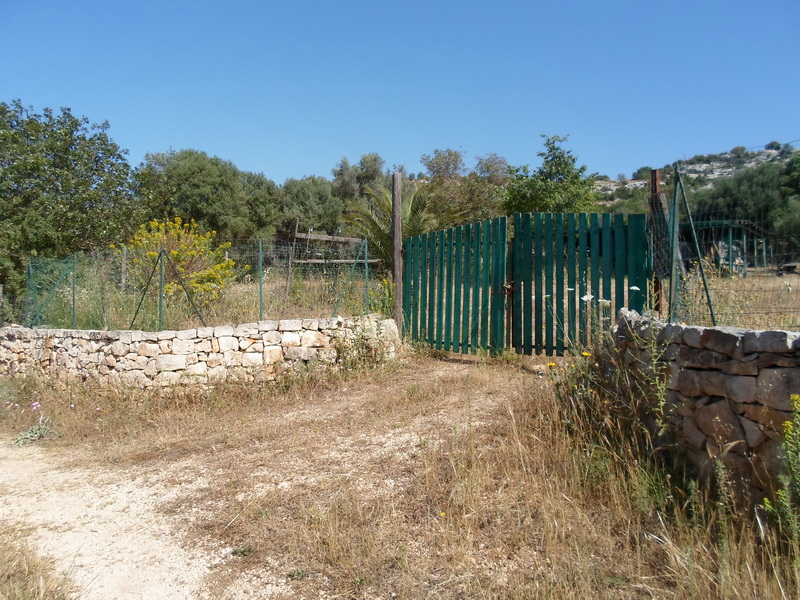TERRENO AGRICOLO CROCE SANTA