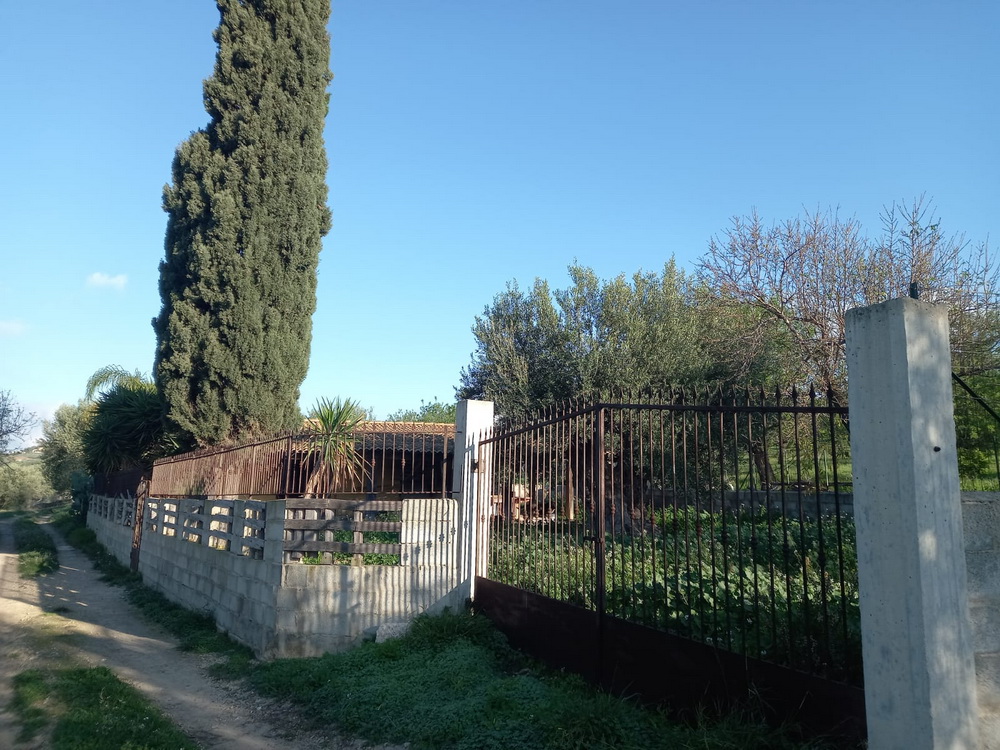 TERRENO AGRICOLO CASALE