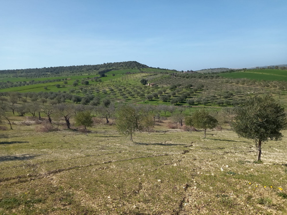 TERRENO CON RUDERE