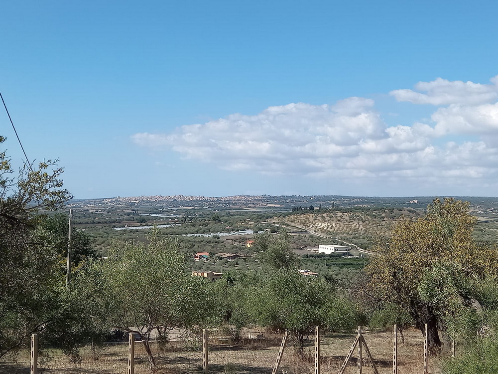 TERRENO AGRICOLO