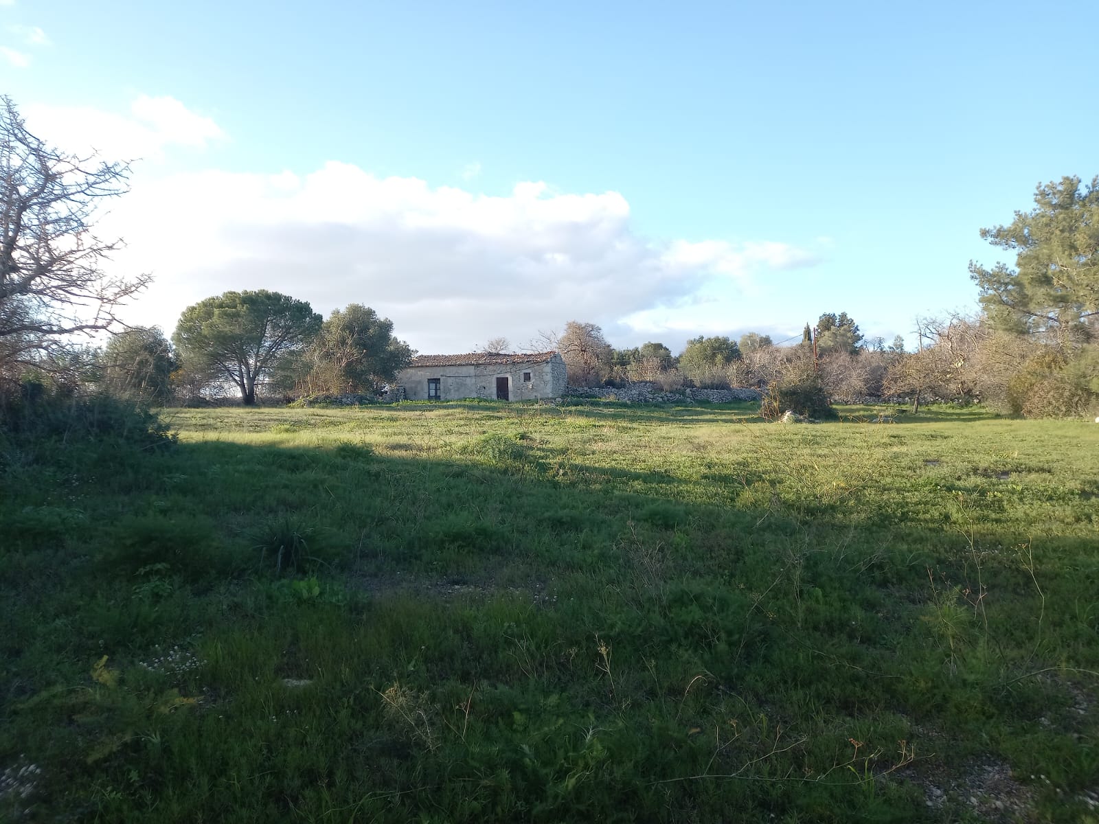 TERRENO   INCONTAMINATO