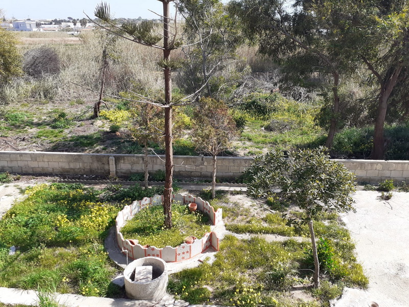 Foto immobile 5
