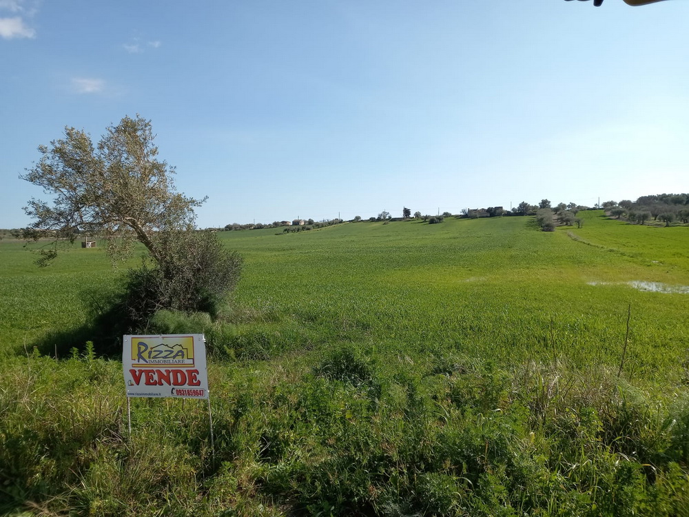 TERRENO CON FABBRICATI RURALI