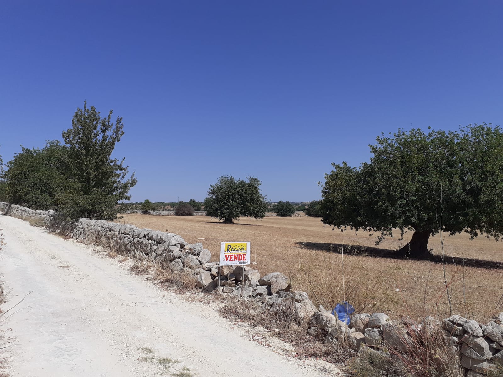 TERRENO AGRICOLO CASINO