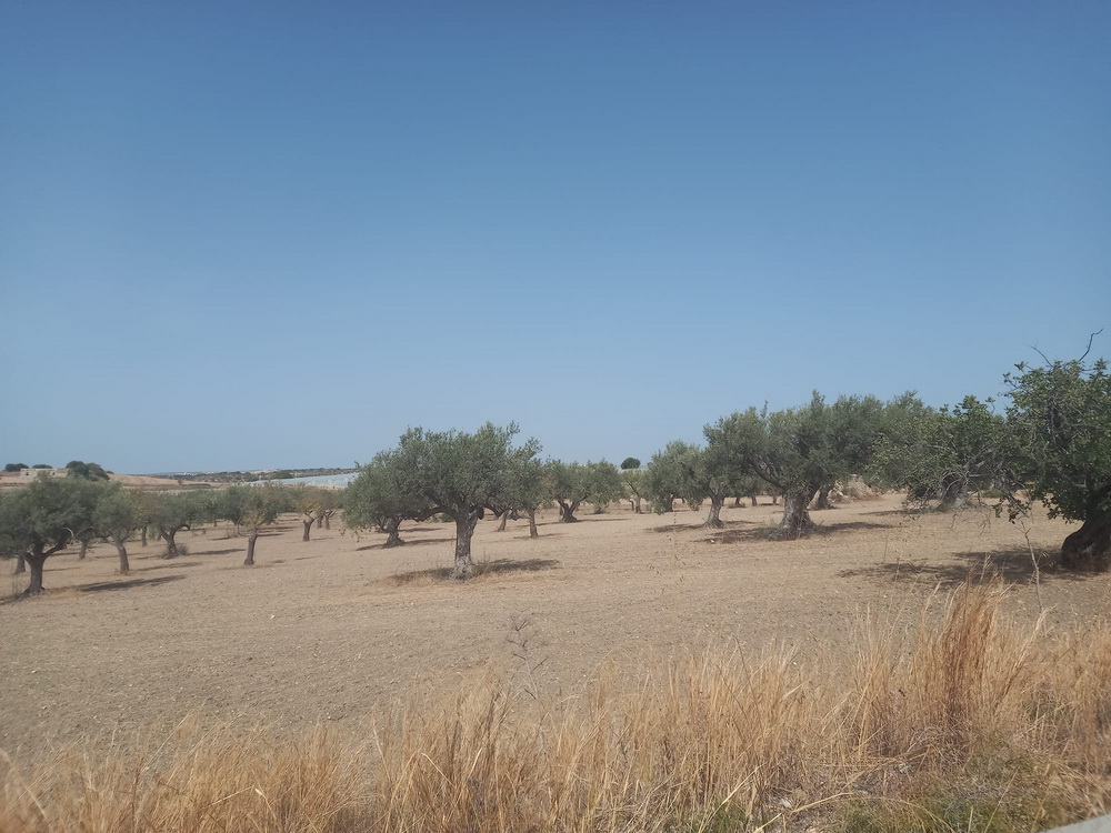 Foto immobile 3