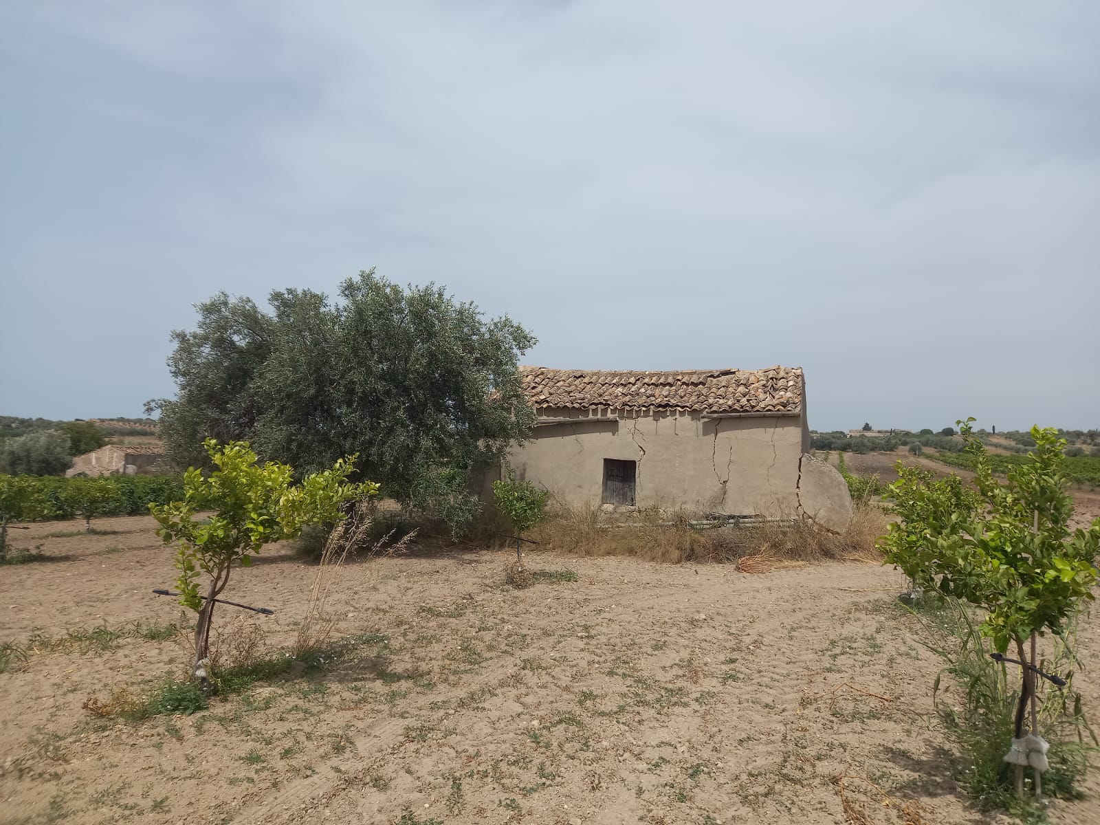 TERRENO CON CASETTE RURALI
