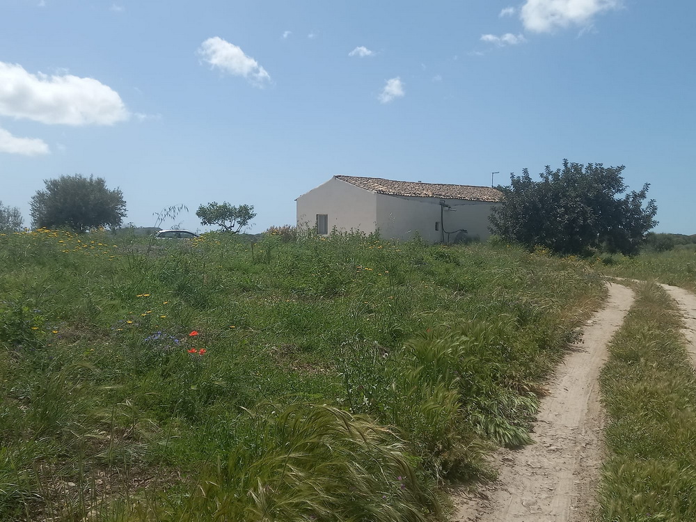CASA DI CAMPAGNA GRANATI VECCHI