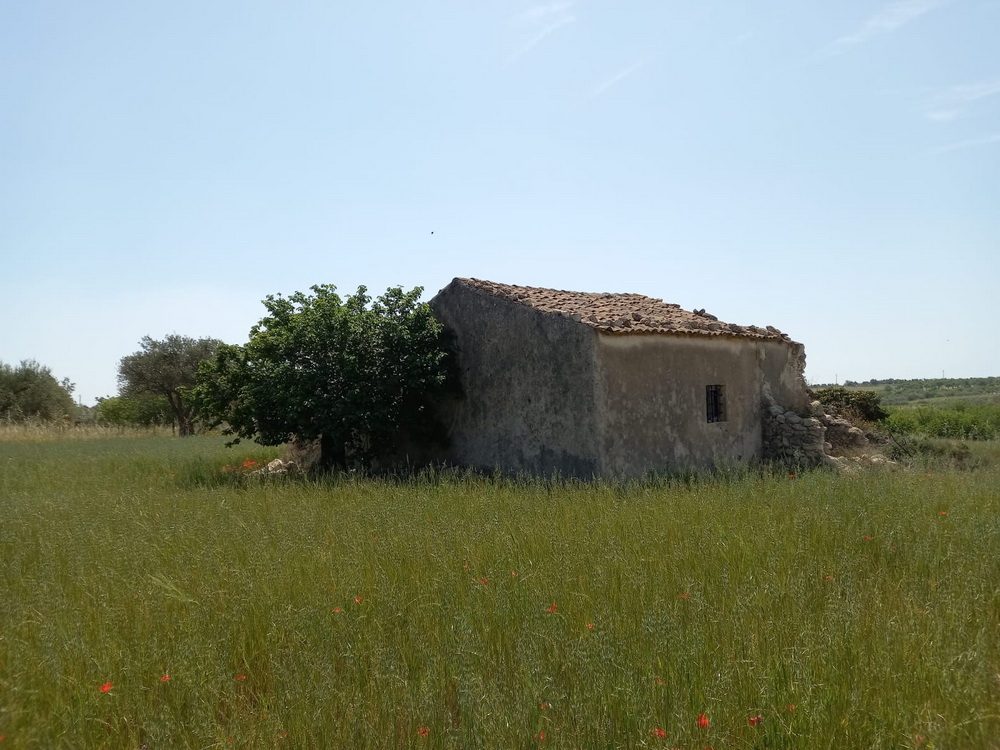 TERRENO AGLIASTRO