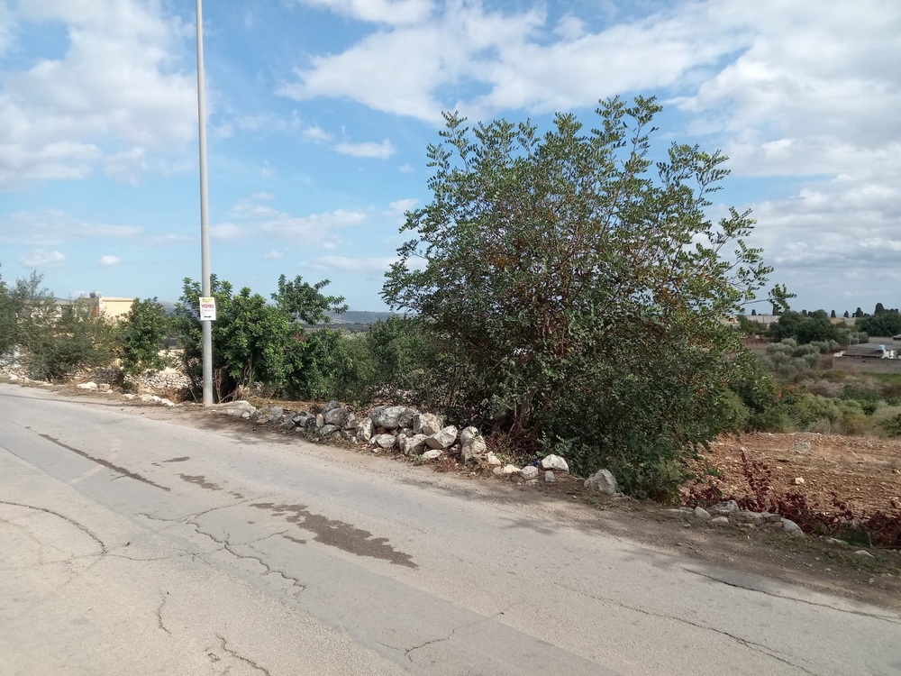 TERRENO PERPETUA