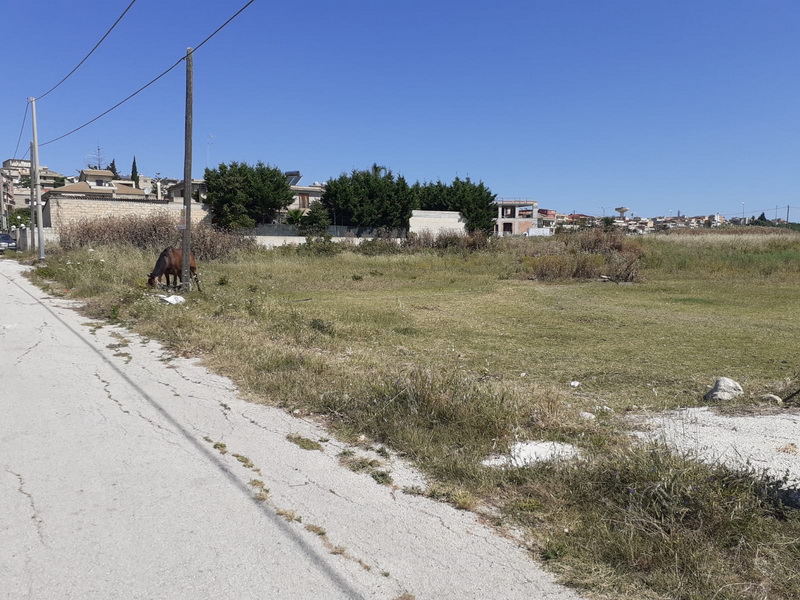 Foto immobile 3