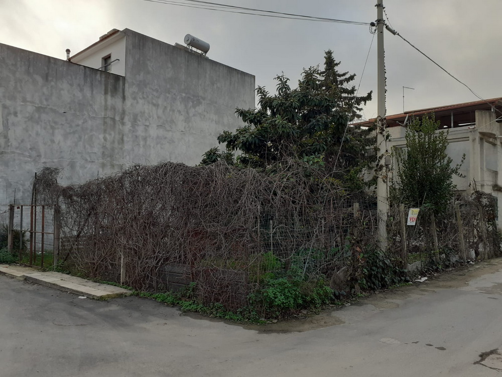 TERRENO EDIFICABILE  FALCONE